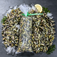 Green-lipped Mussels